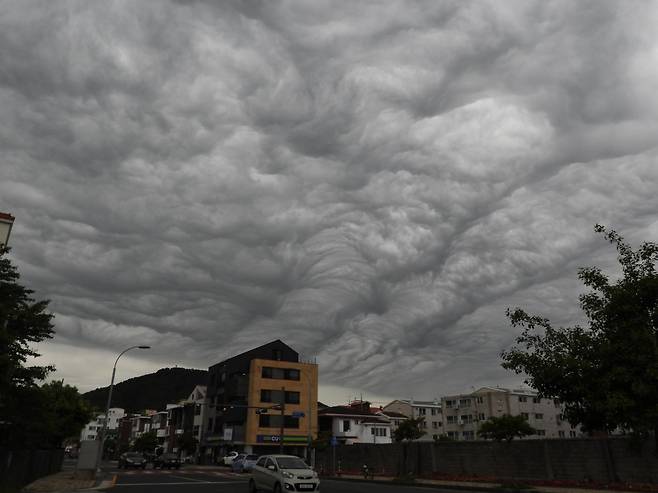 어린이 날이자 부처님 오신 날인 5일 오후 제주시 연동 하늘에 ‘거친물결구름’이 떠 있다. 거친물결구름은 상층의 찬 공기와 하층의 따뜻한 공기가 강하게 충돌하면서 대기가 불안정할 때 만들어진다.2025.5.5/뉴스1