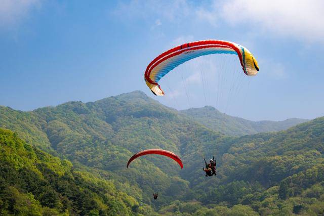 패러글라이더 두 대가 유명산 착륙장에 착륙하고 있다.