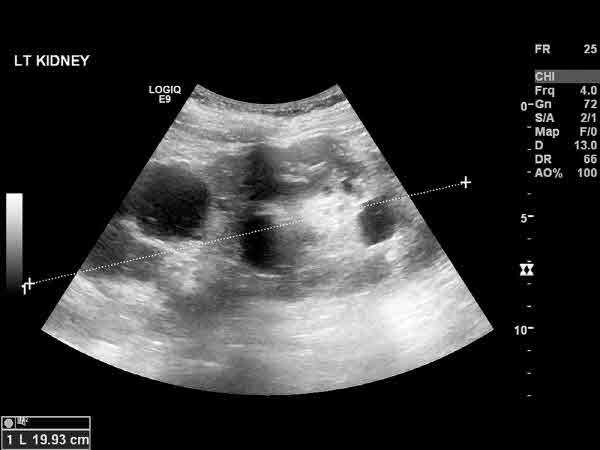 사진=클립아트코리아