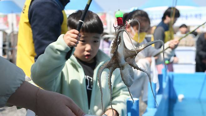 주꾸미 낚시 체험