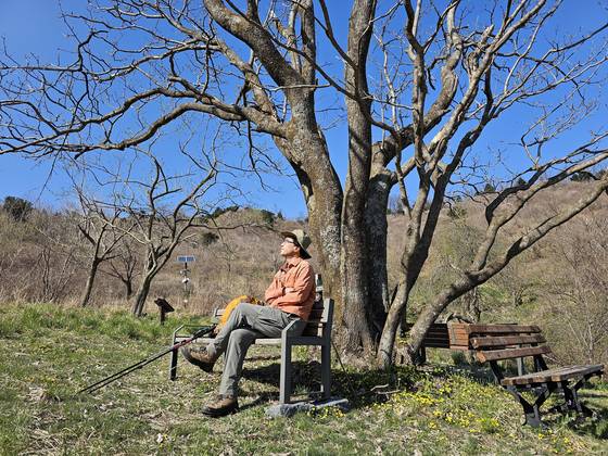물푸레나무 고목이 서 있는 숲정이 쉼터. 화전민들이 살던 곳으로 볕이 잘 들고, 근처에 연인샘이 있다.