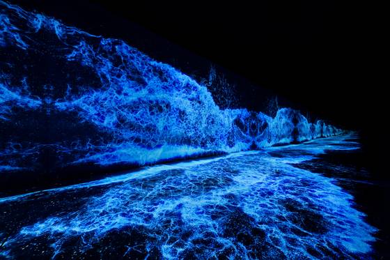 예술의전당 제작 오페라 ‘The Rising World:물의 정령’ 무대에 등장할 아르떼뮤지엄의 ‘스태리 비치’. [사진 예술의전당]