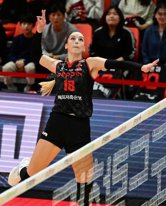 페퍼저축은행에서 뛰었던 자비치. 사진[연합뉴스]