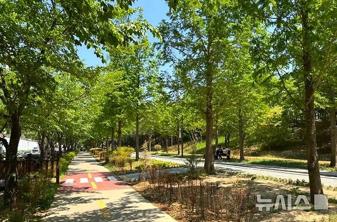 [포항=뉴시스] 경북 포항시가 포항 철길 숲 우현지구 650m 구간에 교통 약자를 배려해 무장애 도시 숲을 새롭게 조성했다. 무장애 도시 숲 전경. (사진=포항시 제공) 2025.05.07. photo@newsis.com