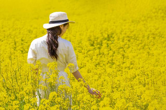 5월초 제주를 찾은 관광객이 26만명으로 집계된 가운데, 내국인 관광객이 지난해 대비 1.8% 증가한 것으로 나타났다. 사진은 기사의 특정 내용과 관련 없음. 이미지투데이