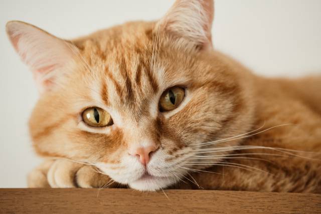 출처=이미지투데이