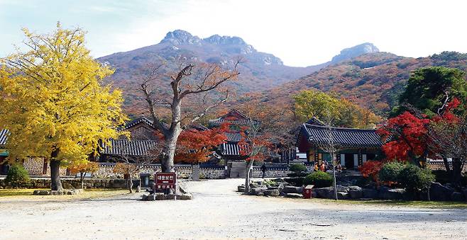 '산사, 한국의 산지승원'으로 유네스코 세계문화유산에 등재된 대흥사. 대흥사는 보물과 천연기념물 등 유물을 많이 보유하고 있다. /전남도 제공