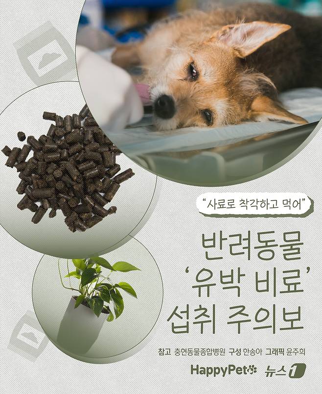 ⓒ News1 윤주희 디자이너