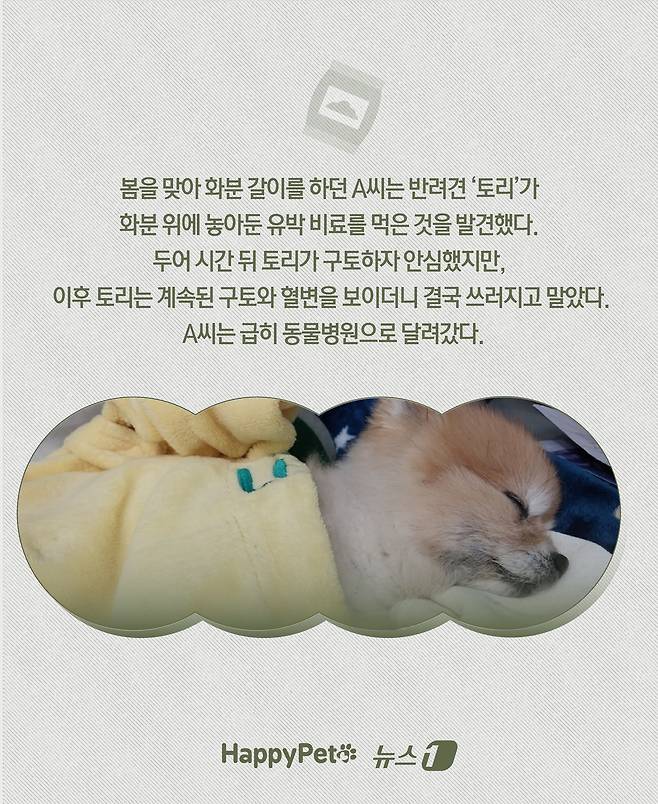 ⓒ News1 윤주희 디자이너