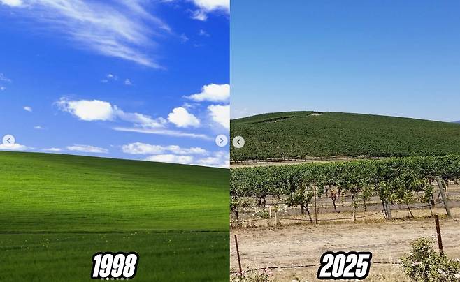 윈도우XP의 배경화면 이미지로 쓰이는 미국 캘리포니아주 나파밸리의 1998년과 2025년 현재 모습. <출처=인스타그램 인사이드히스토리>