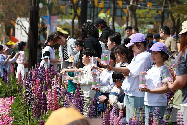 제27회 함평나비축제 나비날리기 행사.(함평군 제공. 재배포 및 DB 금지)