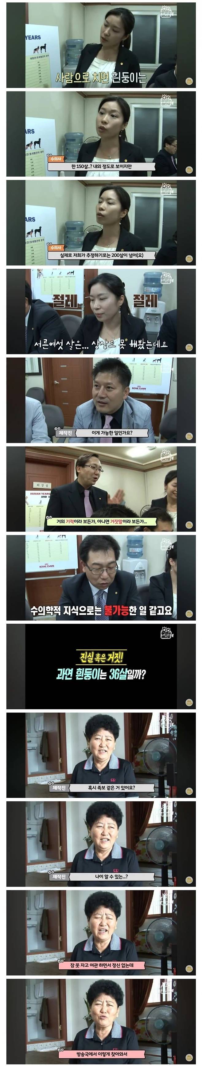 36년 장수한 강아지