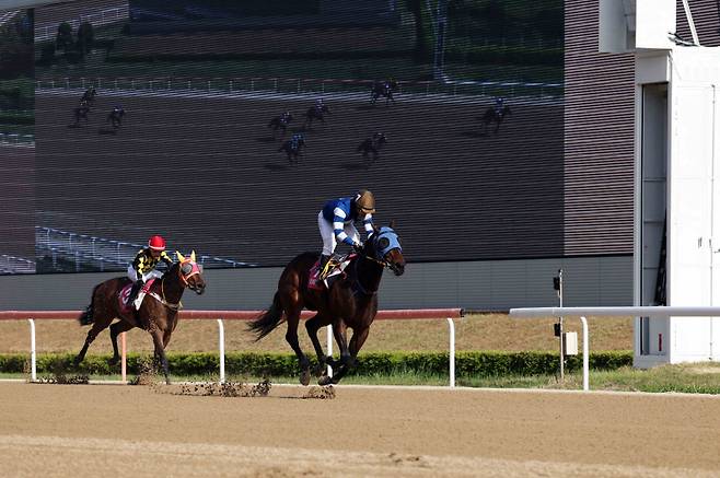 판타스틱밸류의 우승 장면. 사진=한국마사회