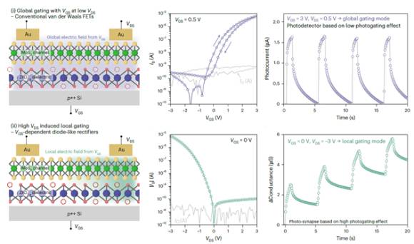 하나의 소자가 전기적 조건에 따라 트랜지스터와 다이오드처럼 전환 동작할 수 있는 재구성형 소자가 개발됐다. [사진=연세대]