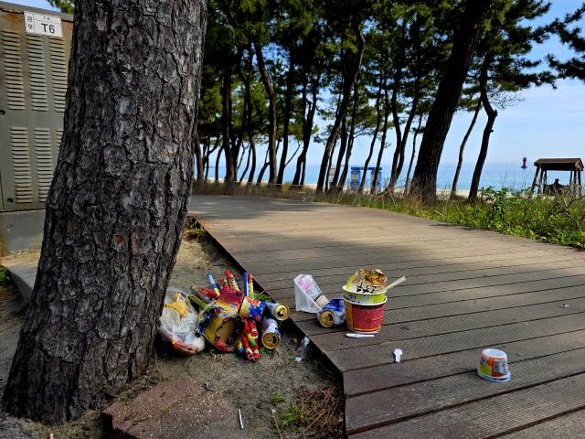 ▲ 7일 경포 해변 광장 인근에 폭죽, 캔, 플라스틱, 배달 음식류 등 분리수거 안 된 쓰레기들이 버려져 있다.(왼쪽 사진) 이날 경포 해변 송림 안에도 분리수거 안 된 쓰레기들이 눈에 띈다.  황선우 기자