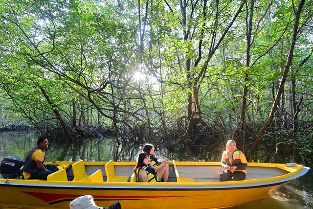 빈탄리조트에서 배를 타고 강을 따라 거슬러 올라가며 맹그로브 투어를 하는 모습.