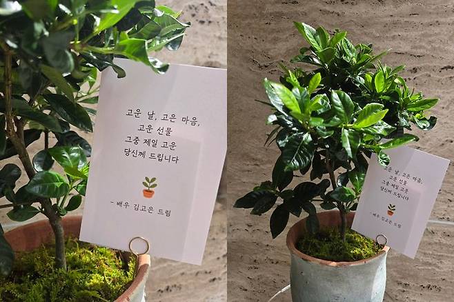 [서울=뉴시스] 8일 소속사 BH엔터테인먼트는 배우 김고은이 어버이날을 맞아 소속사 전 직원과 배우들의 가정에 꽃 화분과 과일 바구니를 선물했다고 밝혔다. (사진=BH엔터테인먼트 제공) 2025.05.08. photo@newsis.com *재판매 및 DB 금지