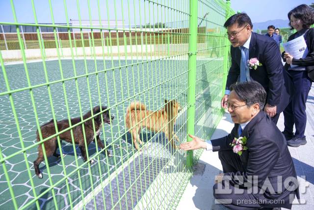 ▲강기정 광주시장이 동물보호센터 개소식에서 반려견을 바라보고 있다. ⓒ광주광역시