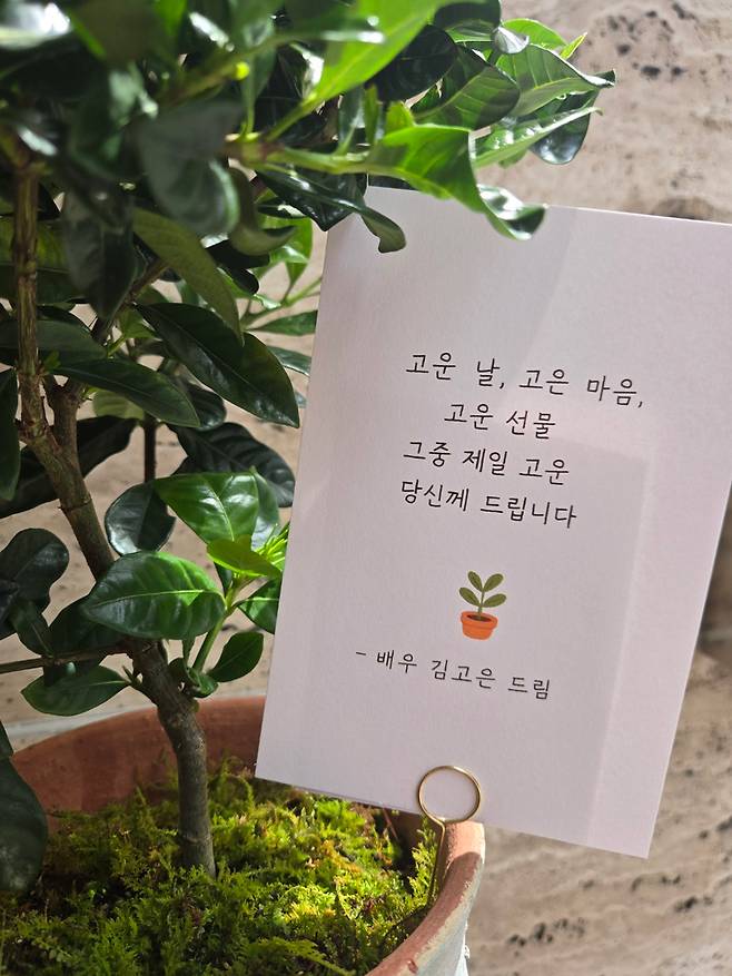 /사진=BH엔터테인먼트