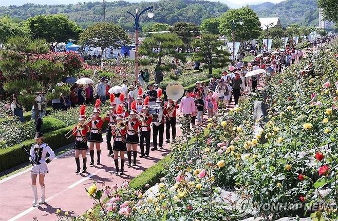 삼척 장미축제 [연합뉴스 자료사진]