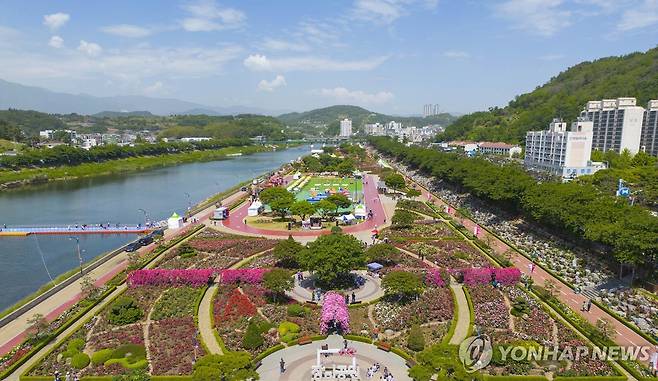 삼척 장미축제 [연합뉴스 자료사진]