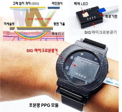 KAIST가 개발한 웨어러블 혈압 센서  [KAIST 제공. 재판매 및 DB 금지]