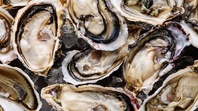 비브리오 패혈증은 주로 덜 익힌 어패류 섭취를 통해 발생한다┃출처: 클립아트코리아