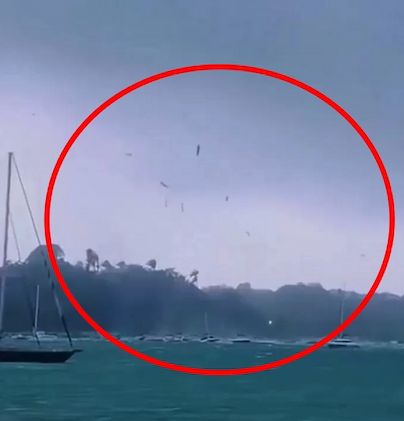 중남미 카리브해의 한 섬에서 수백 마리의 물고기가 하늘을 날았다. 거센 회오리바람이 바닷속 물고기 떼를 하늘로 끌어 올린 초유의 자연 현상이 벌어진 것이다. 지난 5일 인스타그램과 엑스(X) 등 사회관계망서비스(SNS)에는 "물고기 떼가 하늘로 솟구쳤다"는 목격담과 함께 영상이 올라왔다. 인스타그램 noticia058