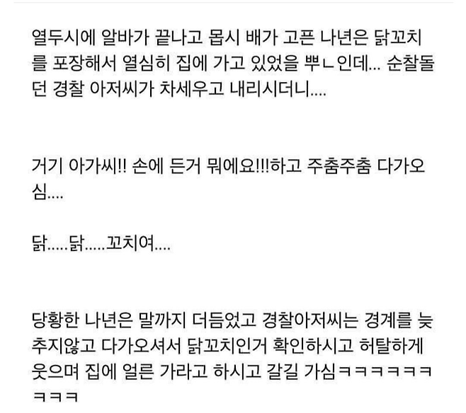 image.png 닭꼬치사서 집에가다 경찰한테 걸린 이유.jpg