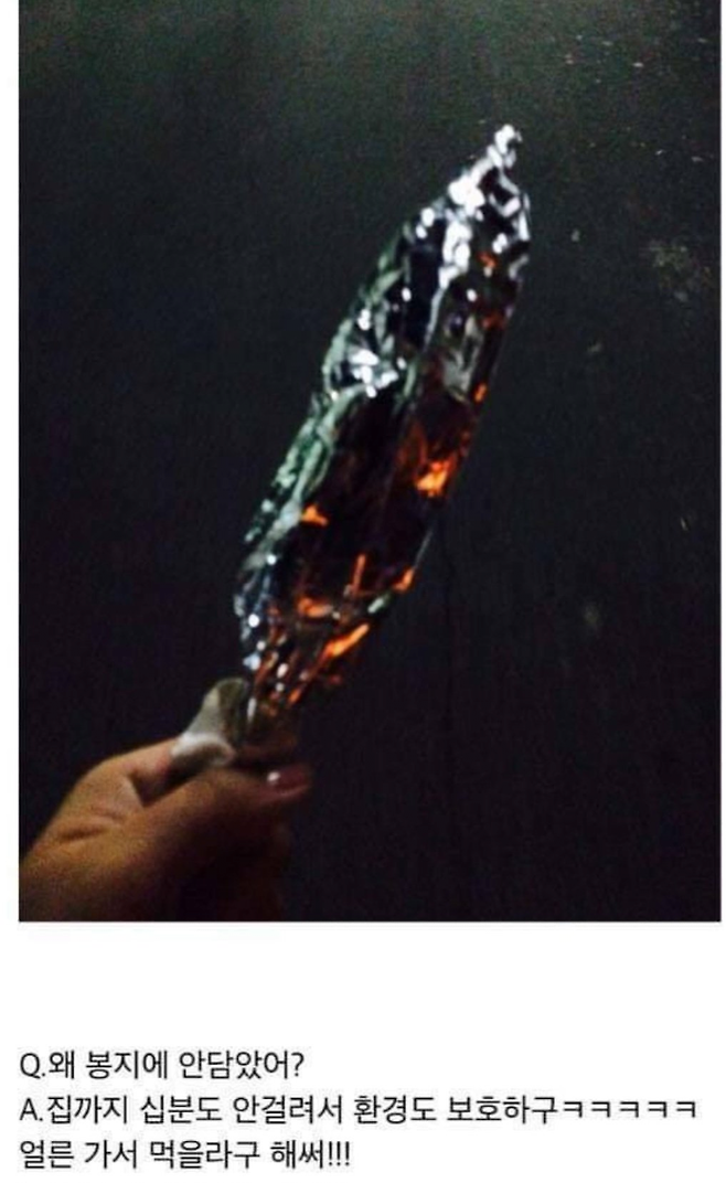 image.png 닭꼬치사서 집에가다 경찰한테 걸린 이유.jpg