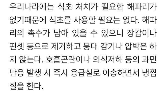 image.png 해파리독 응급 처치