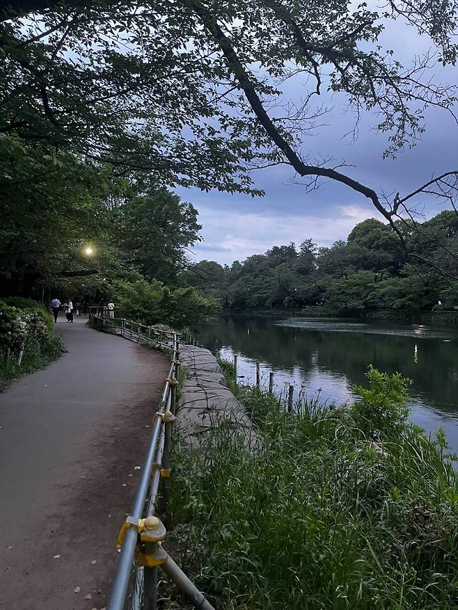 KakaoTalk_20250508_151910442_03.jpg 골든위크에서 살아남기 - 4