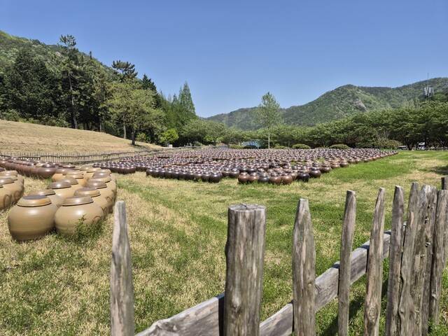옛 개흥사 터 노지에 놓인 2500여개의 옹기에서 발효 식초가 만들어진다. 정대하 기자