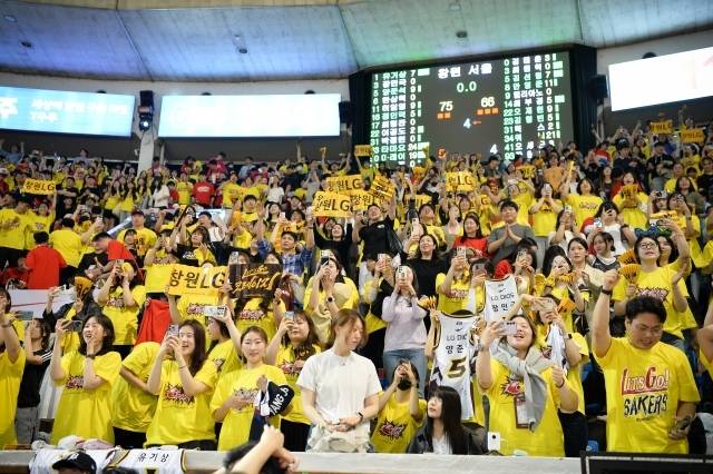 ‘농구에 미친 도시’ 창원이 창단 첫 우승을 위한 노란 물결을 예고했다. 사진=KBL 제공