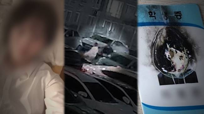 SBS ‘그것이 알고 싶다’ 제공