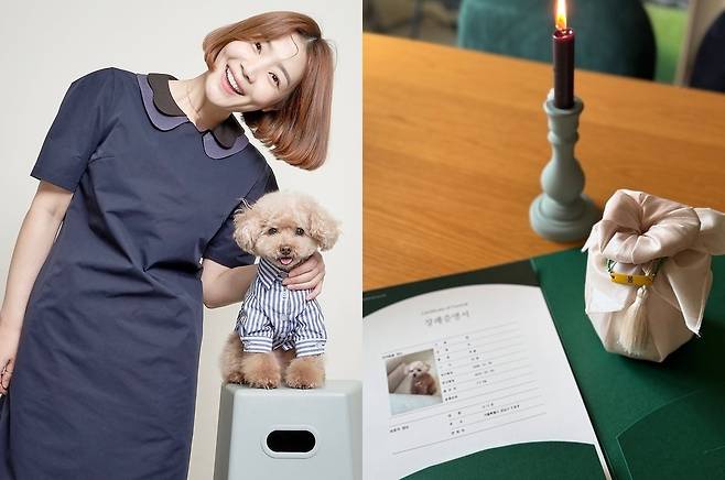 신다은 소셜네트워크서비스 계정