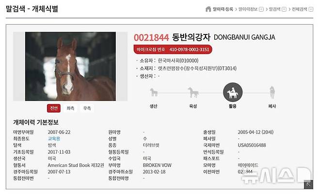 [장수=뉴시스] 경주로를 질주하던 '동반의강자'를 말 산업 정보포털인 호스피아에서 이력을 검색한 결과. 현제 말 등록제는 자율 신고제로, 정부는 의무화를 추진 중에 있다. 2025.05.08. rainy71@newsis.com