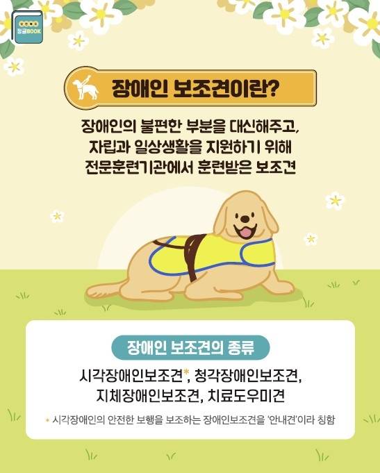 장애인 보조견 홍보문 [대전시 제공. 재판매 및 DB 금지]