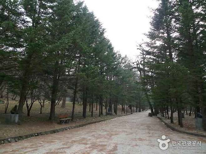 더워지기 전에 다녀오세요! 전국 걷기 좋은 숲길