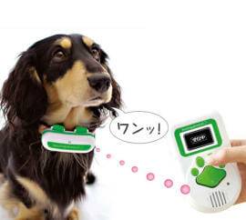 2001년 출시돼 화제가 된 '바우링귈'