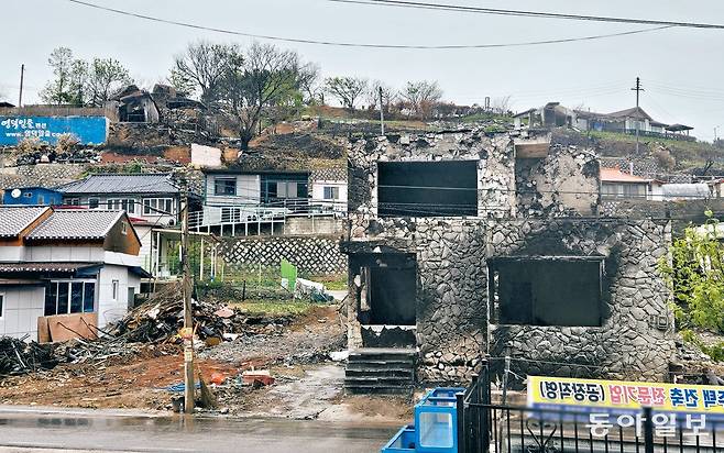 5일 경북 영덕군 영덕읍 노물리 마을에 불에 탄 집과 나무들이 여기저기 보인다. 아름다운 동해 풍경으로 유명한 노물리 마을 일대는 3월 발생한 산불로 236가구 중 208가구가 피해를 입었다. 영덕=이수연 기자 lotus@donga.com