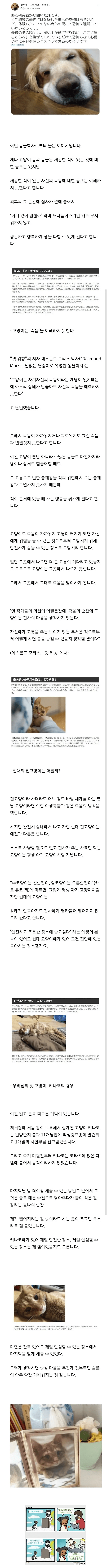 image-3-1.png 동물은 죽음의 공포를 이해하지 못한다.jpg 동물은 죽음의 공포를 이해하지 못한다.jpg 동물은 죽음의 공포를 이해하지 못한다.jpg