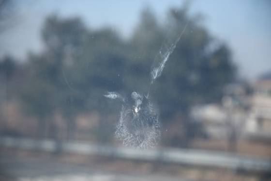 유리벽에 충돌한 조류의 흔적이 남아 있다. 국립생태원 제공