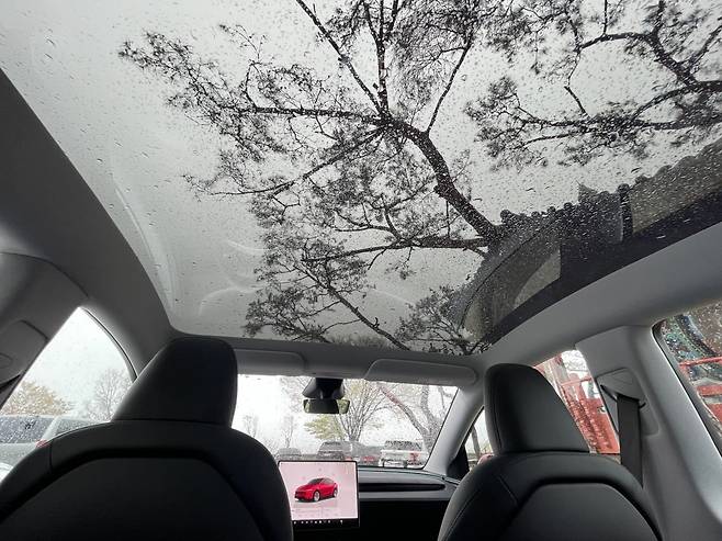 차량 천장을 덮는 글래스루프는 테슬라 차량의 특징이다. 뒷좌석에 앉으면 탁 트인 스카이 뷰를 제공하지만, 한여름의 뙤약볕은 부담스럽다. /백수전 기자