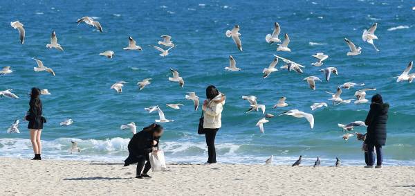 해운대구 해운대 해수욕장을 찾은 시민들이 포근한 날씨를 즐기고 있다. 국제신문DB