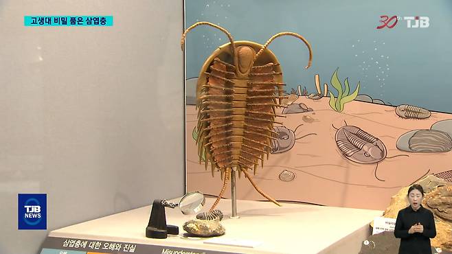 관련 이미지 1