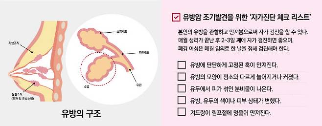 유방의 구조 및 유방암 조기발견을 위한 ‘자가진단 체크 리스트’