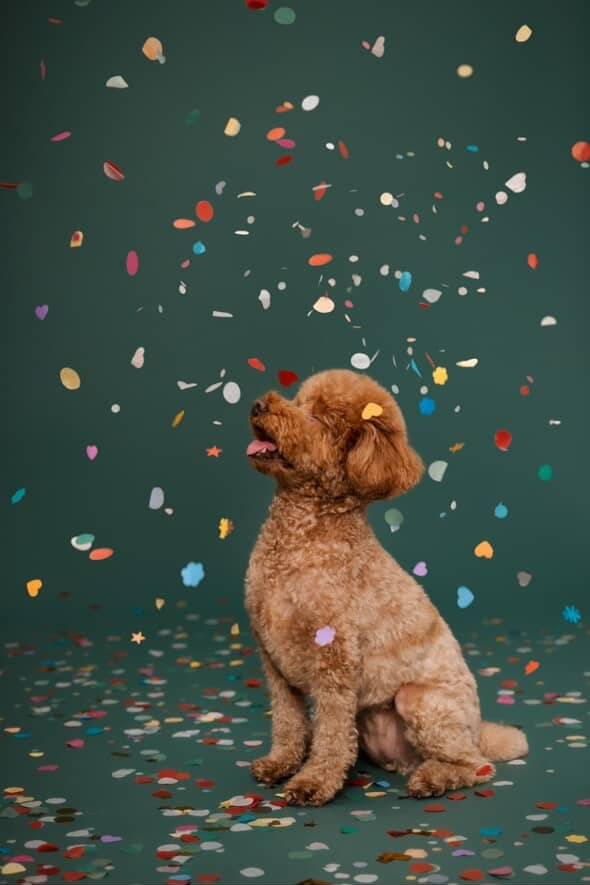 표정부자 짜장이의 스튜디오 사진(인스타그램 minju1998 제공) ⓒ 뉴스1