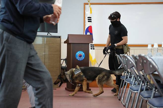 지난 7일 오후 전북 익산시청 인근 대한노인회 대회의실에서 더불어민주당 이재명 대선 후보의 대한노인회 익산지회 임원과의 간담회가 열린 가운데 탐지견 저드가 위험물  탐지를 위해 돌아다니고 있다. /남강호 기자