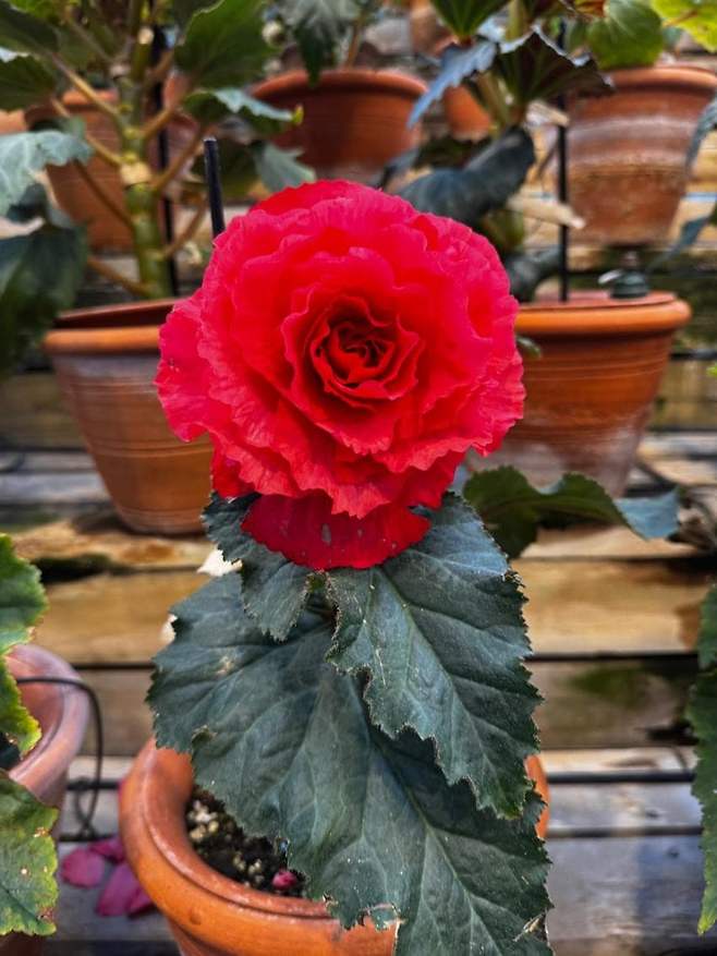 06bcdb27eae639aa658084e544847468e1b84aa8ac5e4f908abcd5f42f87166e860f1959508ea75b7f2f82a6828b71